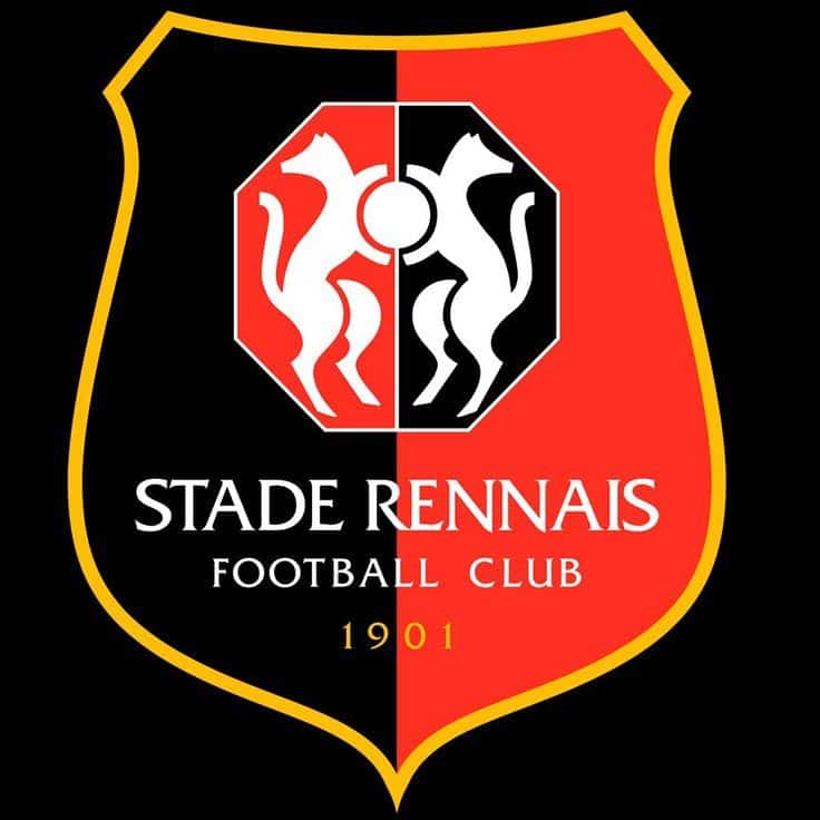 , Ligue1 Stade Rennais FC|Pinterest