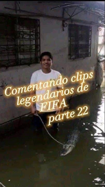 , Fifa clips muy randoms del FIFA😆😂 #fifa #futbol #fifa23|Pinterest